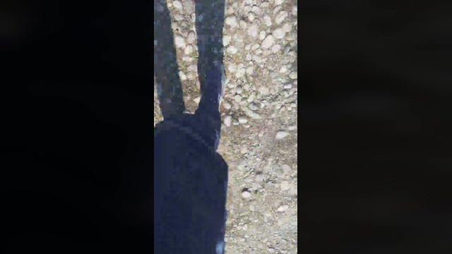 big_blackc  24-03-2022